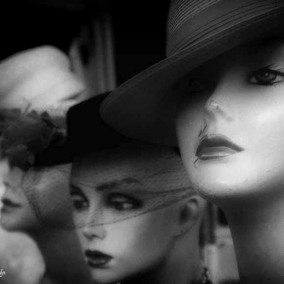 Meet your Posher, Allana - Picture 1 of 1